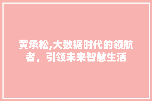 黄承松,大数据时代的领航者，引领未来智慧生活