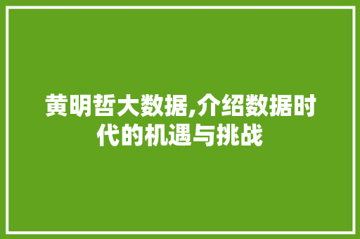 黄明哲大数据,介绍数据时代的机遇与挑战