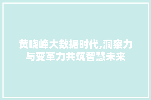 黄晓峰大数据时代,洞察力与变革力共筑智慧未来