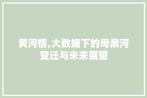 黄河情,大数据下的母亲河变迁与未来展望