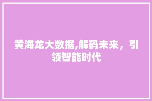 黄海龙大数据,解码未来，引领智能时代