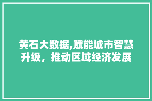 黄石大数据,赋能城市智慧升级，推动区域经济发展