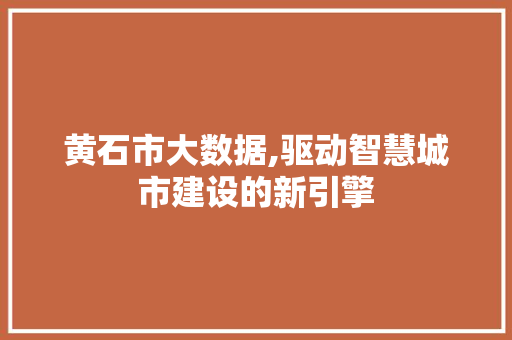 黄石市大数据,驱动智慧城市建设的新引擎