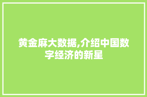 黄金麻大数据,介绍中国数字经济的新星