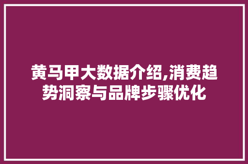 黄马甲大数据介绍,消费趋势洞察与品牌步骤优化