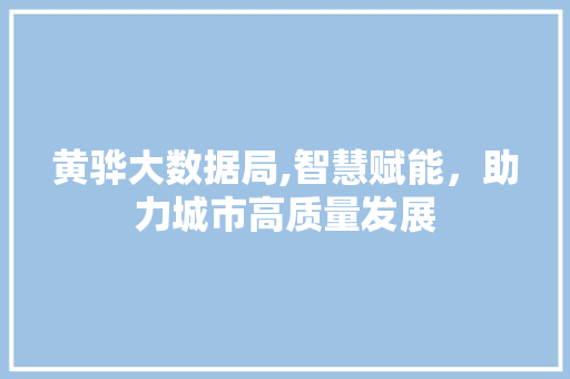 黄骅大数据局,智慧赋能，助力城市高质量发展