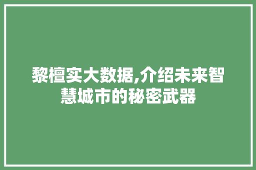 黎檀实大数据,介绍未来智慧城市的秘密武器