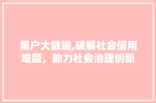 黑户大数据,破解社会信用难题，助力社会治理创新