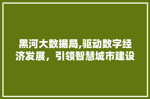 黑河大数据局,驱动数字经济发展，引领智慧城市建设