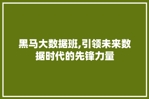 黑马大数据班,引领未来数据时代的先锋力量