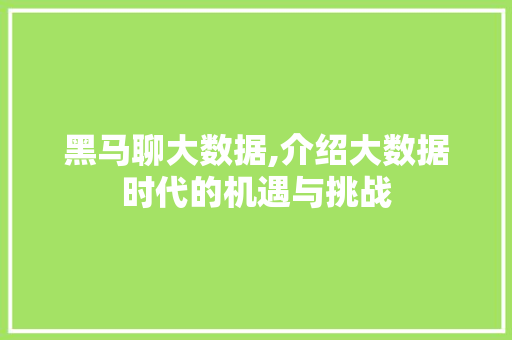 黑马聊大数据,介绍大数据时代的机遇与挑战 必应SEO