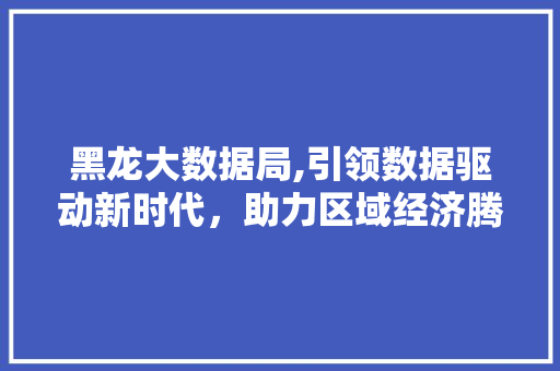 黑龙大数据局,引领数据驱动新时代，助力区域经济腾飞