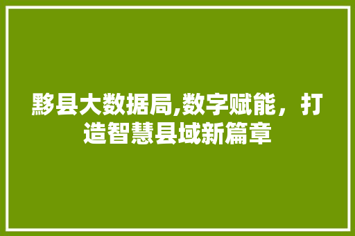 黟县大数据局,数字赋能，打造智慧县域新篇章