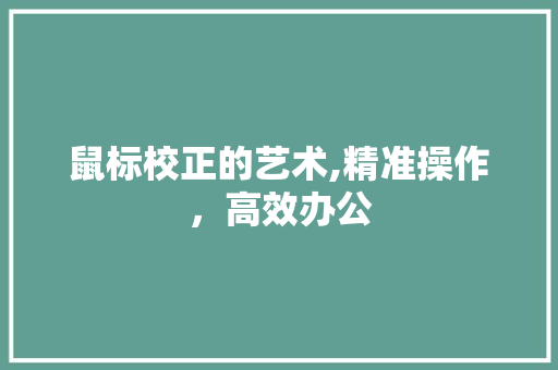 鼠标校正的艺术,精准操作，高效办公