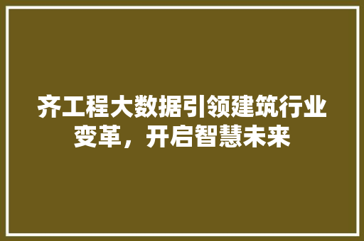 齐工程大数据引领建筑行业变革，开启智慧未来
