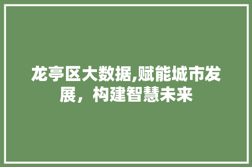 龙亭区大数据,赋能城市发展，构建智慧未来 百度SEO