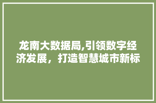 龙南大数据局,引领数字经济发展，打造智慧城市新标杆