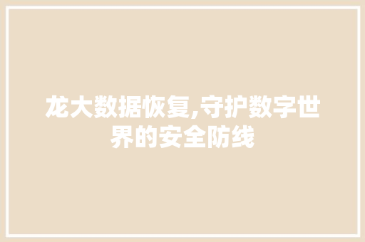 龙大数据恢复,守护数字世界的安全防线