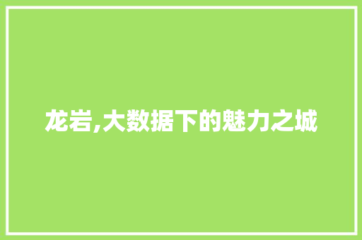 龙岩,大数据下的魅力之城 搜狗SEO