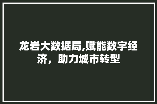 龙岩大数据局,赋能数字经济，助力城市转型
