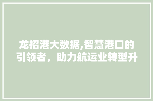 龙招港大数据,智慧港口的引领者，助力航运业转型升级