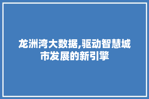 龙洲湾大数据,驱动智慧城市发展的新引擎