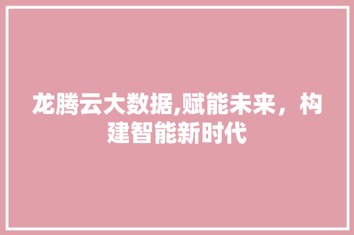 龙腾云大数据,赋能未来，构建智能新时代