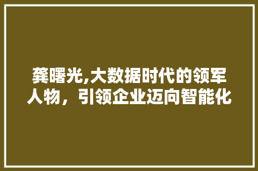 龚曙光,大数据时代的领军人物，引领企业迈向智能化未来 百度SEO