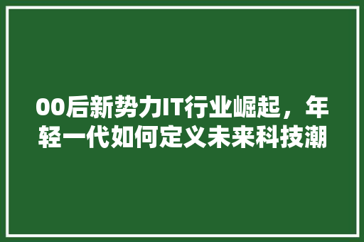 00后新势力IT行业崛起，年轻一代如何定义未来科技潮流 百度SEO
