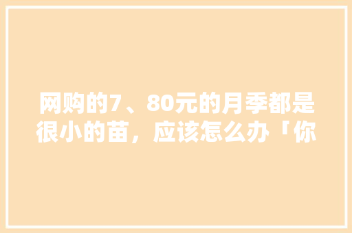 网购的7、80元的月季都是很小的苗，应该怎么办「你喜欢小花苗吗为什么呢」