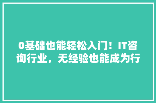 0基础也能轻松入门！IT咨询行业，无经验也能成为行业精英