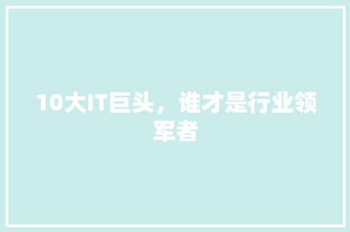 10大IT巨头，谁才是行业领军者 百度SEO