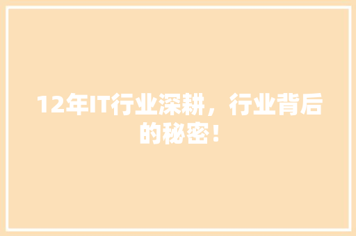 12年IT行业深耕，行业背后的秘密！