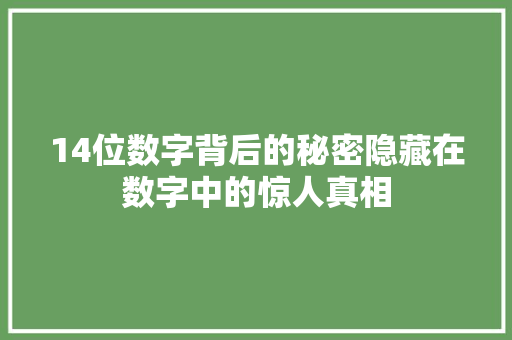 14位数字背后的秘密隐藏在数字中的惊人真相