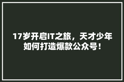 17岁开启IT之旅，天才少年如何打造爆款公众号！