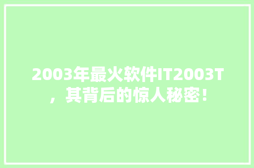 2003年最火软件IT2003T，其背后的惊人秘密！