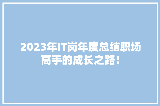 2023年IT岗年度总结职场高手的成长之路！ 百度SEO
