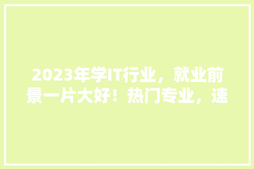 2023年学IT行业，就业前景一片大好！热门专业，速来收藏！ 百度SEO