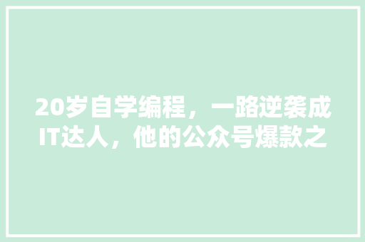 20岁自学编程，一路逆袭成IT达人，他的公众号爆款之路！ 百度SEO