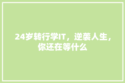 24岁转行学IT，逆袭人生，你还在等什么