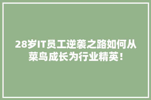 28岁IT员工逆袭之路如何从菜鸟成长为行业精英！
