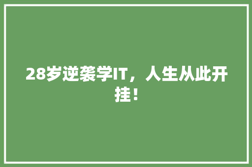 28岁逆袭学IT，人生从此开挂！