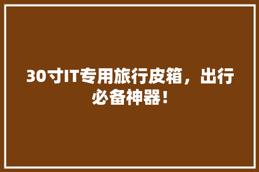 30寸IT专用旅行皮箱，出行必备神器！