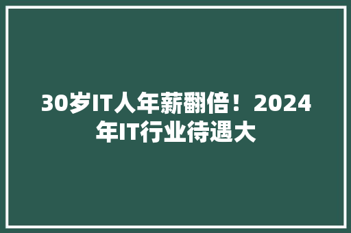 30岁IT人年薪翻倍！2024年IT行业待遇大 搜狗SEO