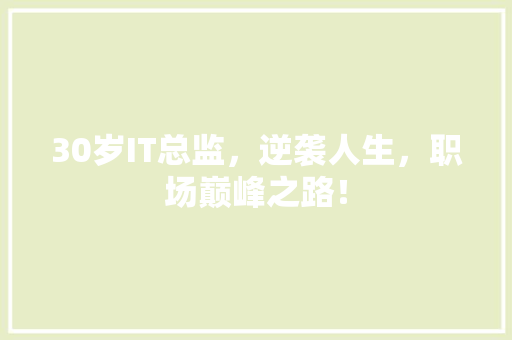 30岁IT总监，逆袭人生，职场巅峰之路！ 搜狗SEO