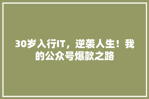 30岁入行IT，逆袭人生！我的公众号爆款之路 搜狗SEO