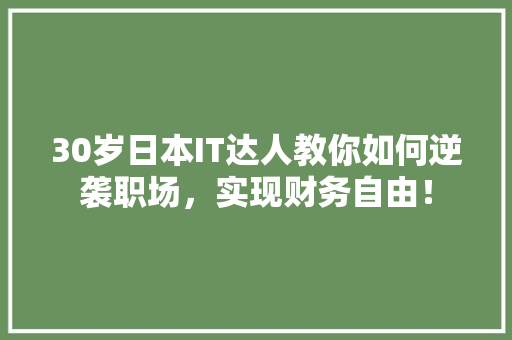 30岁日本IT达人教你如何逆袭职场，实现财务自由！