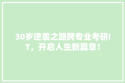 30岁逆袭之路跨专业考研IT，开启人生新篇章！