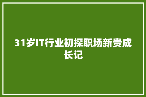 31岁IT行业初探职场新贵成长记