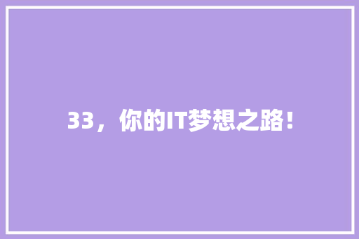 33，你的IT梦想之路！
